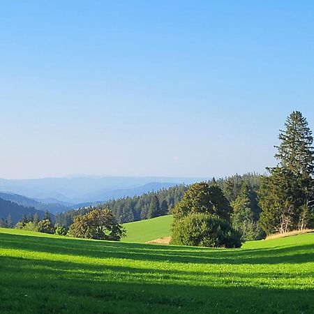 Fewo Gretel Schoenwald Exteriör bild