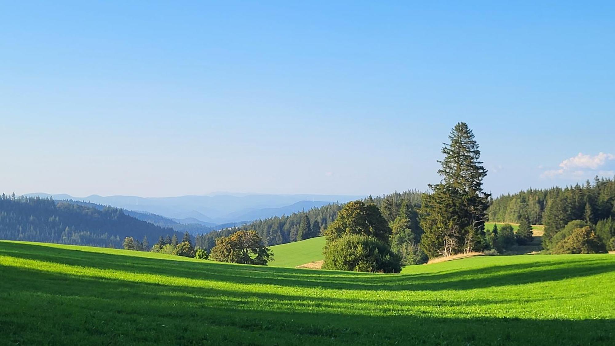 Fewo Gretel Schoenwald Exteriör bild