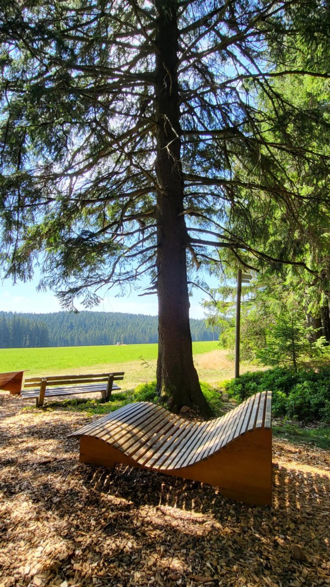 Fewo Gretel Schoenwald Exteriör bild
