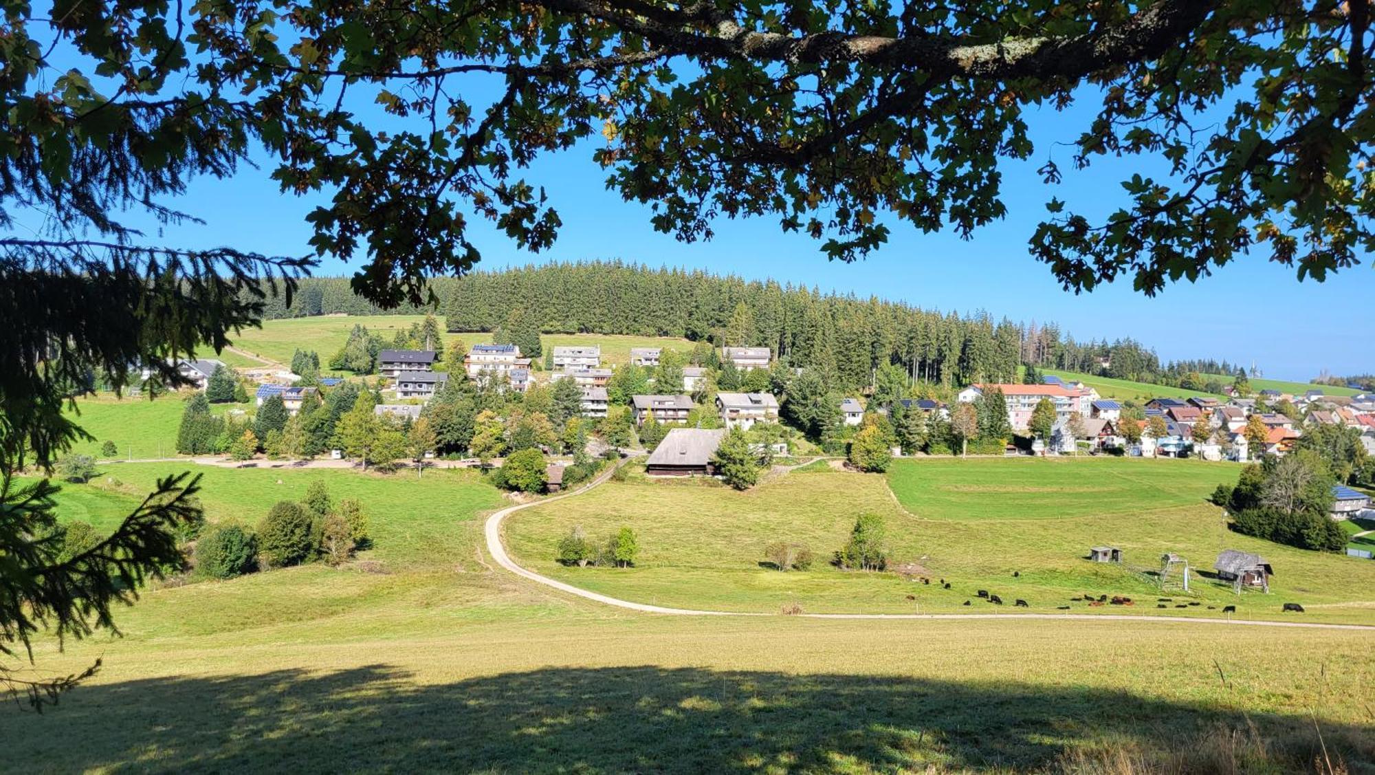 Fewo Gretel Schoenwald Exteriör bild